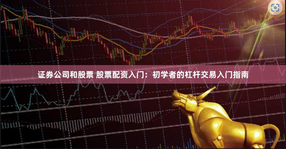 证券公司和股票 股票配资入门：初学者的杠杆交易入门指南