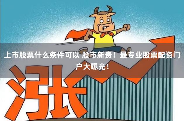 上市股票什么条件可以 股市新贵！最专业股票配资门户大曝光！